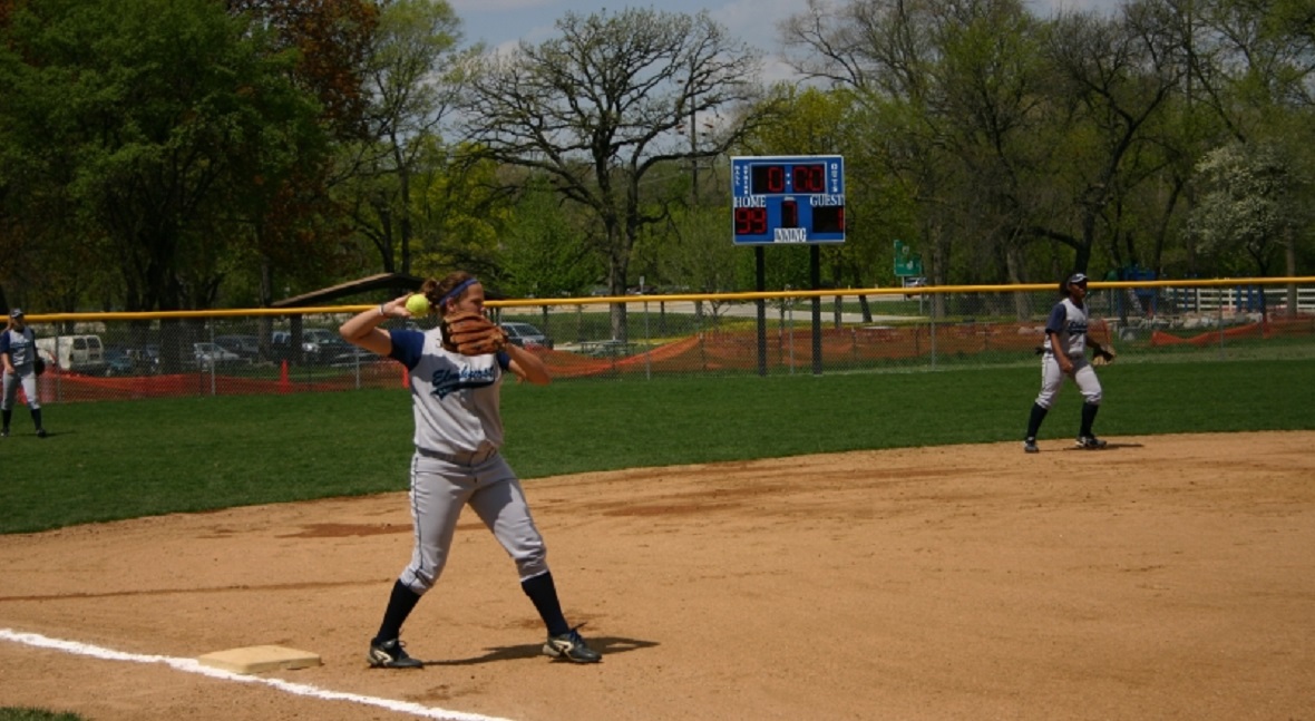 Batting Cages Coming to Salt Creek Park Elmhurst Park District