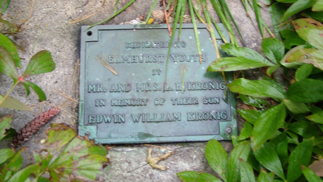Tree Memorial Commemorative Plaque