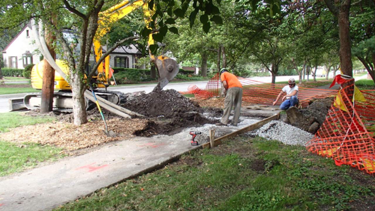 Wilder Park Conservatory & Greenhouse Restoration - Conservatory Project Powers Up