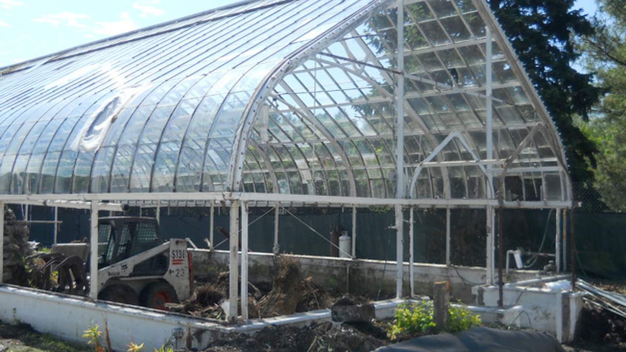 Wilder Park Conservatory & Greenhouse Restoration - Demolition Begins