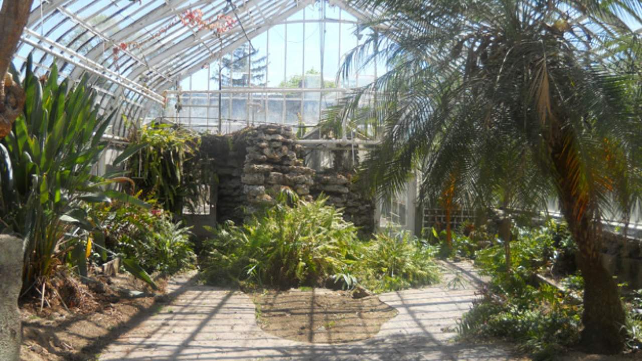 Wilder Park Conservatory & Greenhouse Restoration - Where Did The Plants Go?