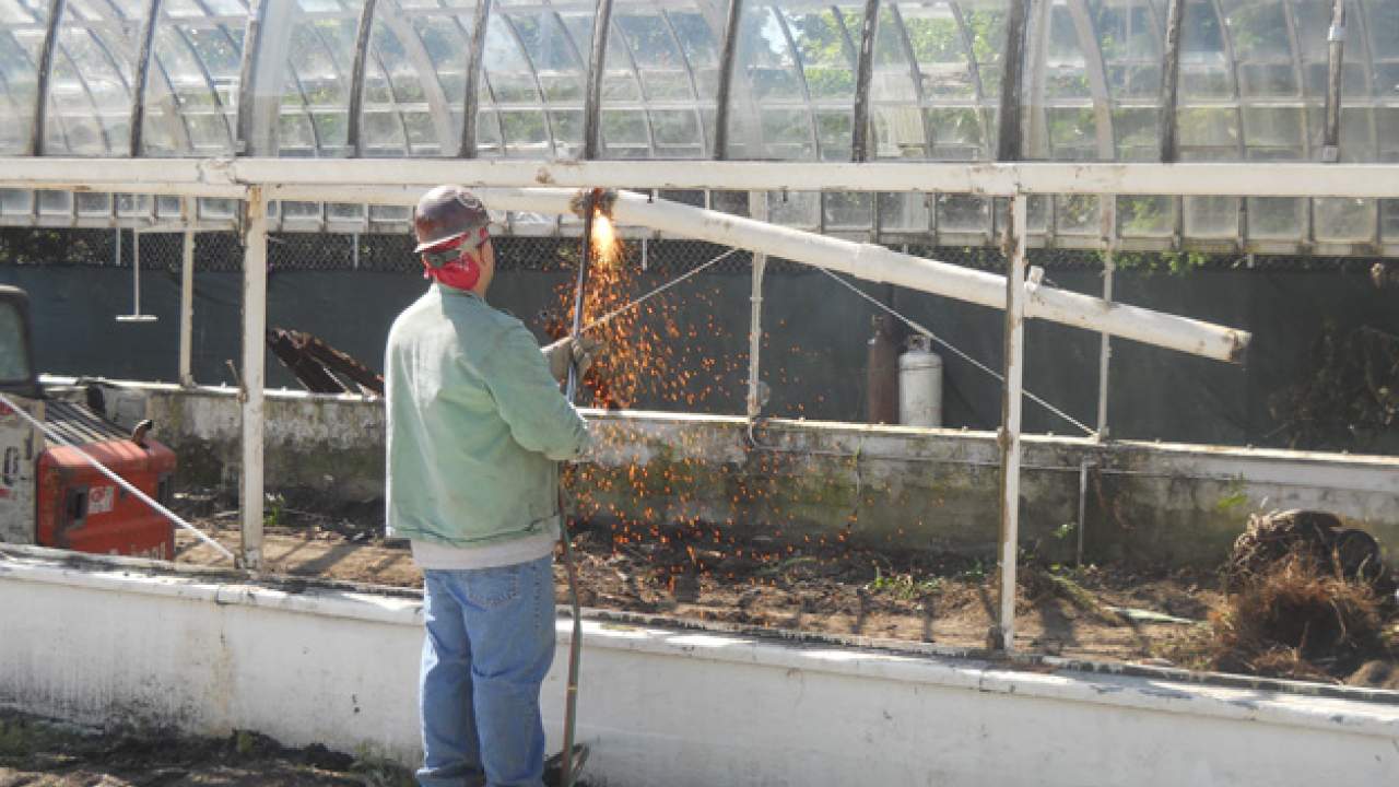 Wilder Park Conservatory & Greenhouse Restoration - Demolition Begins