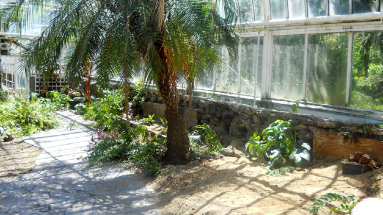 Wilder Park Conservatory & Greenhouse Restoration - Where Did The Plants Go?