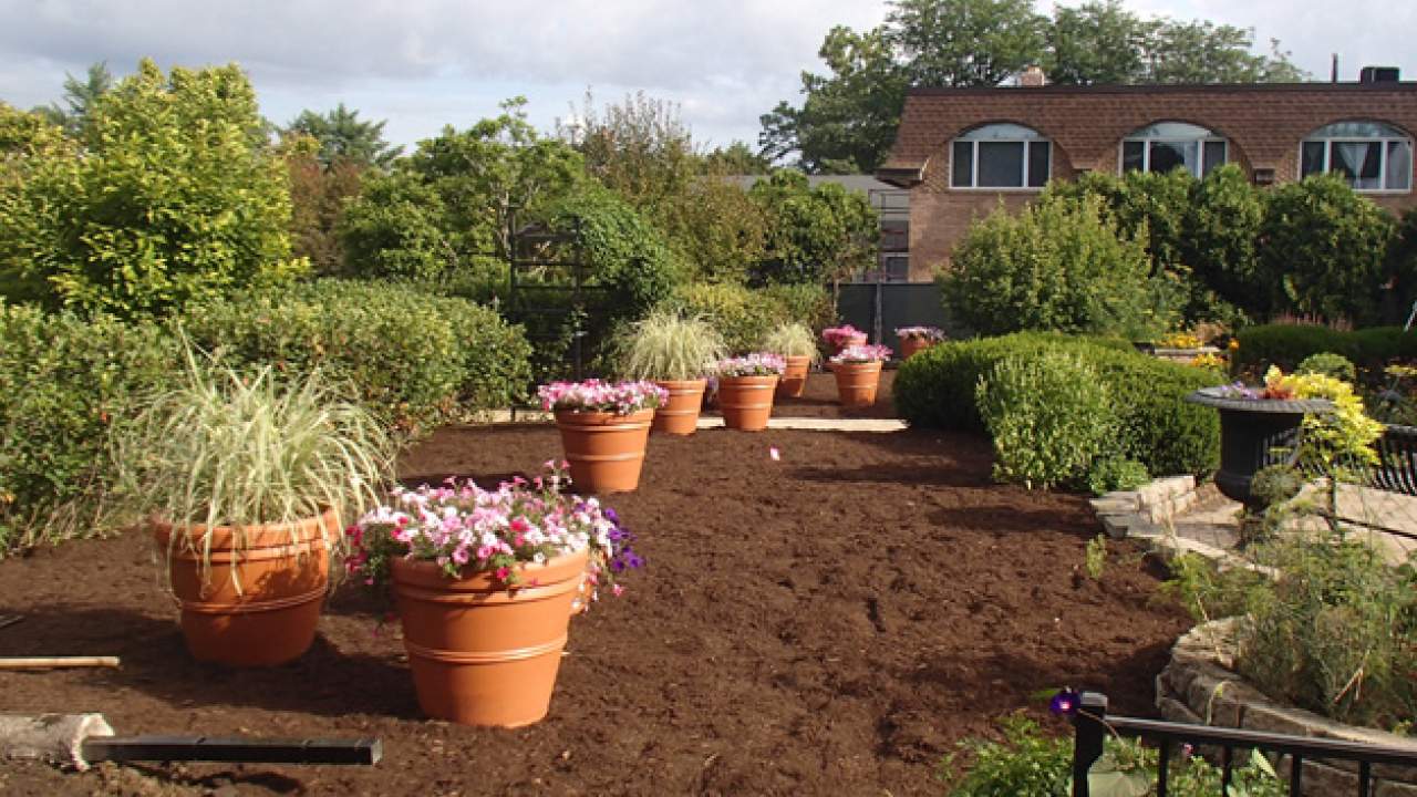 Wilder Park Conservatory & Greenhouse Restoration - The Main Event