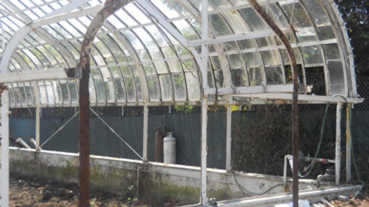 Wilder Park Conservatory & Greenhouse Restoration - Demolition Begins