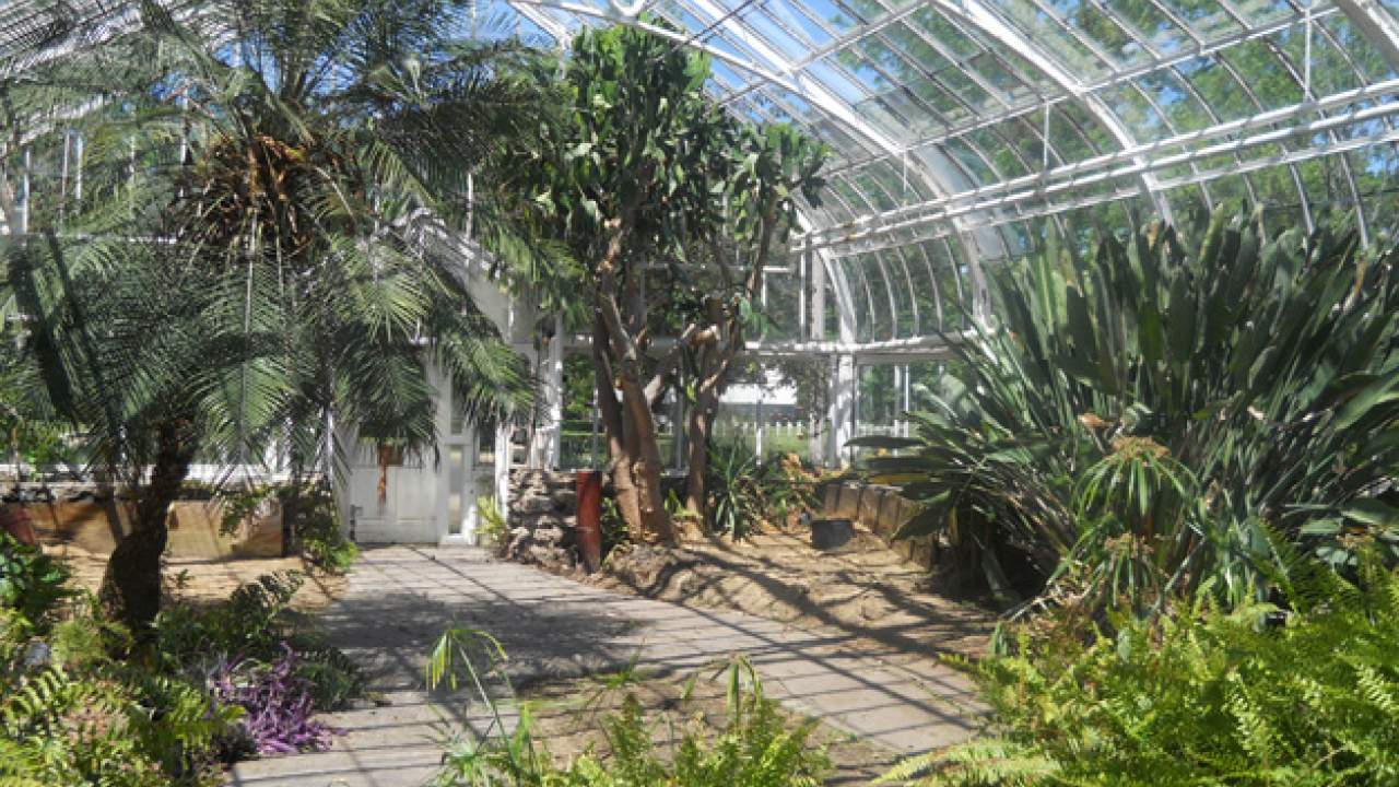 Wilder Park Conservatory & Greenhouse Restoration - Where Did The Plants Go?