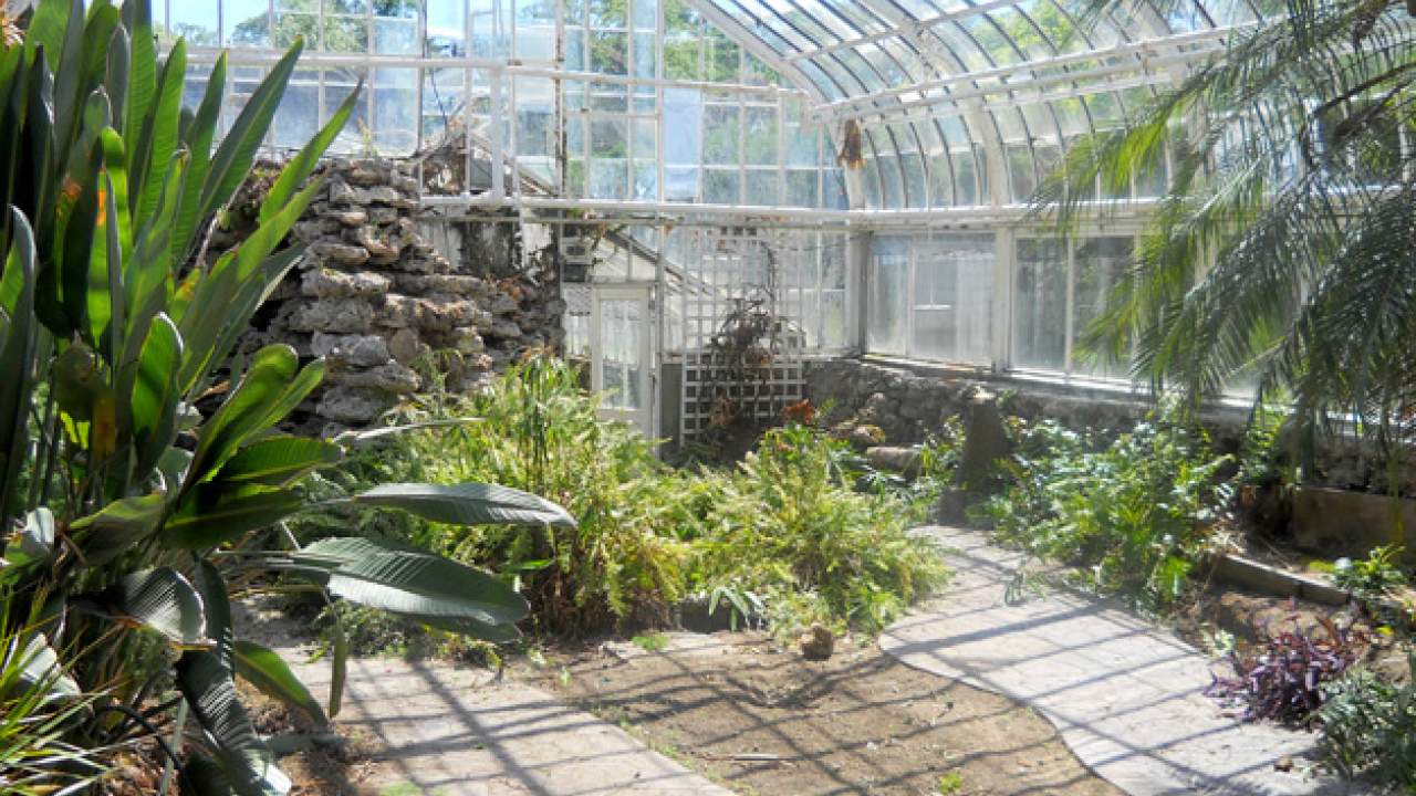 Wilder Park Conservatory & Greenhouse Restoration - Where Did The Plants Go?