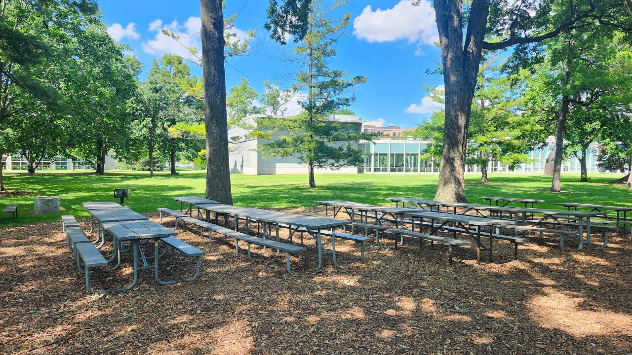 Picnic shelter Wilder Park
