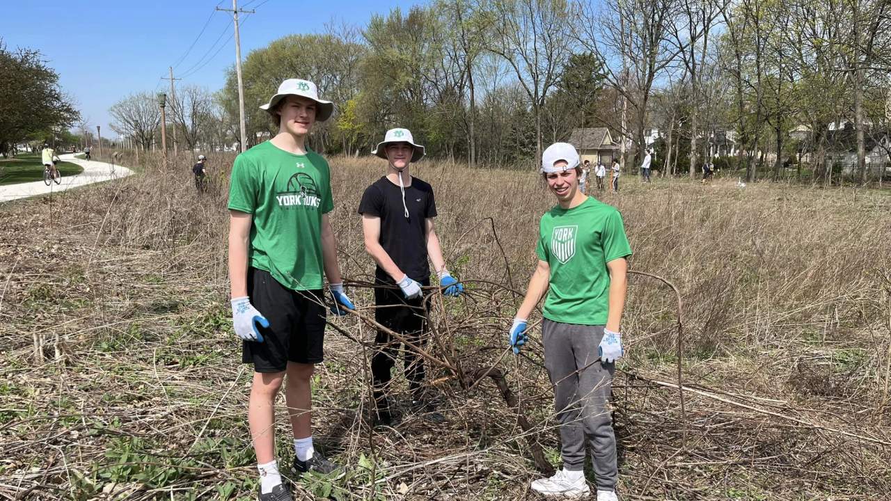 Great Western Prairie volunteers removing invasive plant