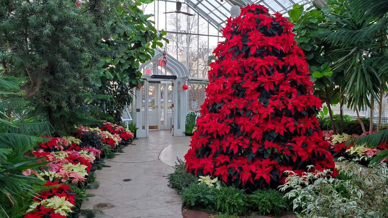 Wilder Park Conservatory