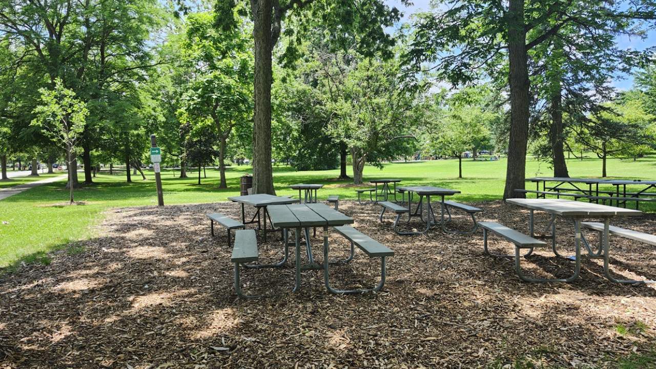 Wilder Park picnic area