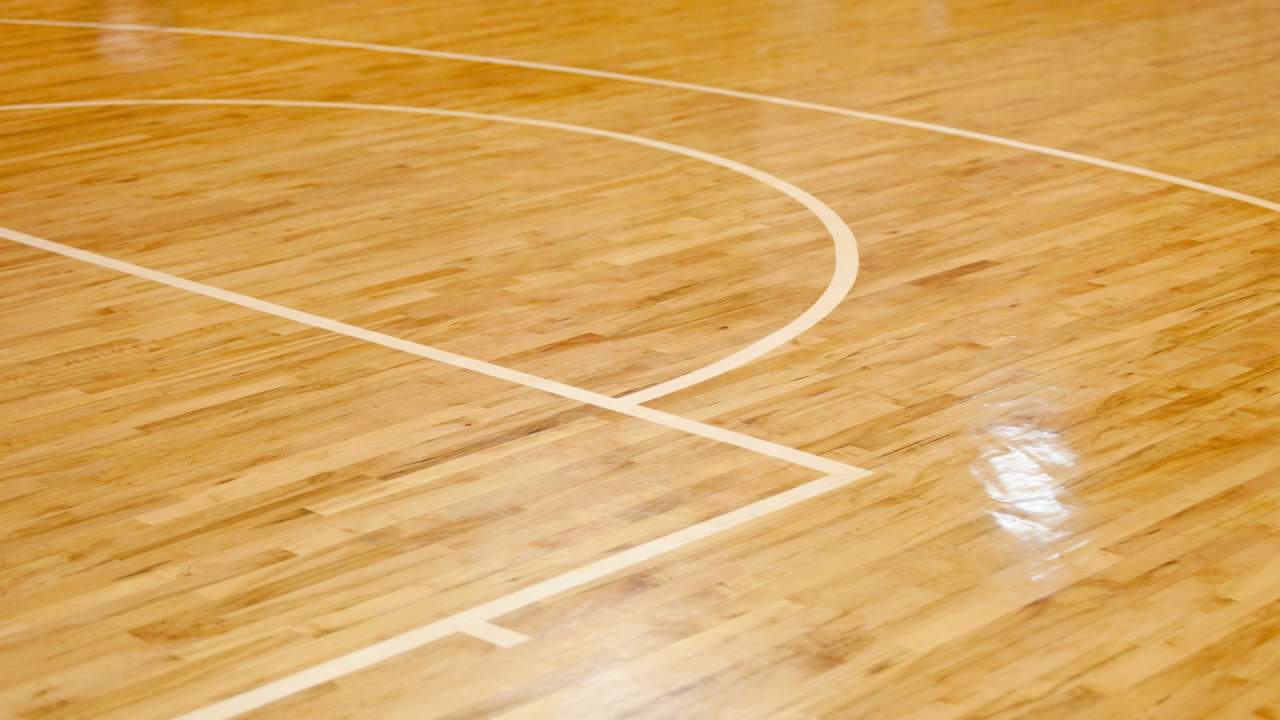 Adult Sports Leagues