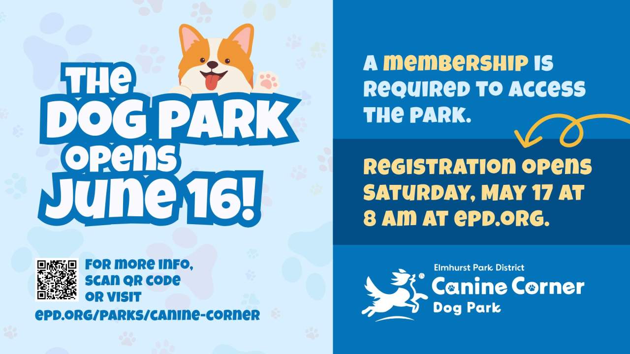 Dog Park