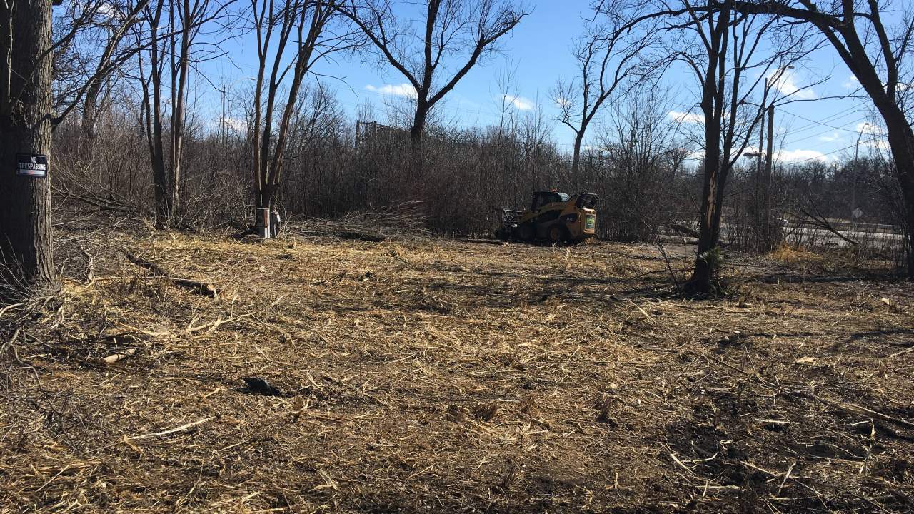 future dog park site, Elmhurst, IL