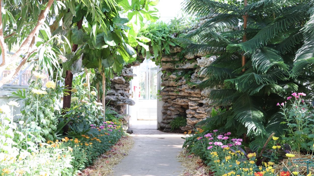 Wilder Park Conservatory