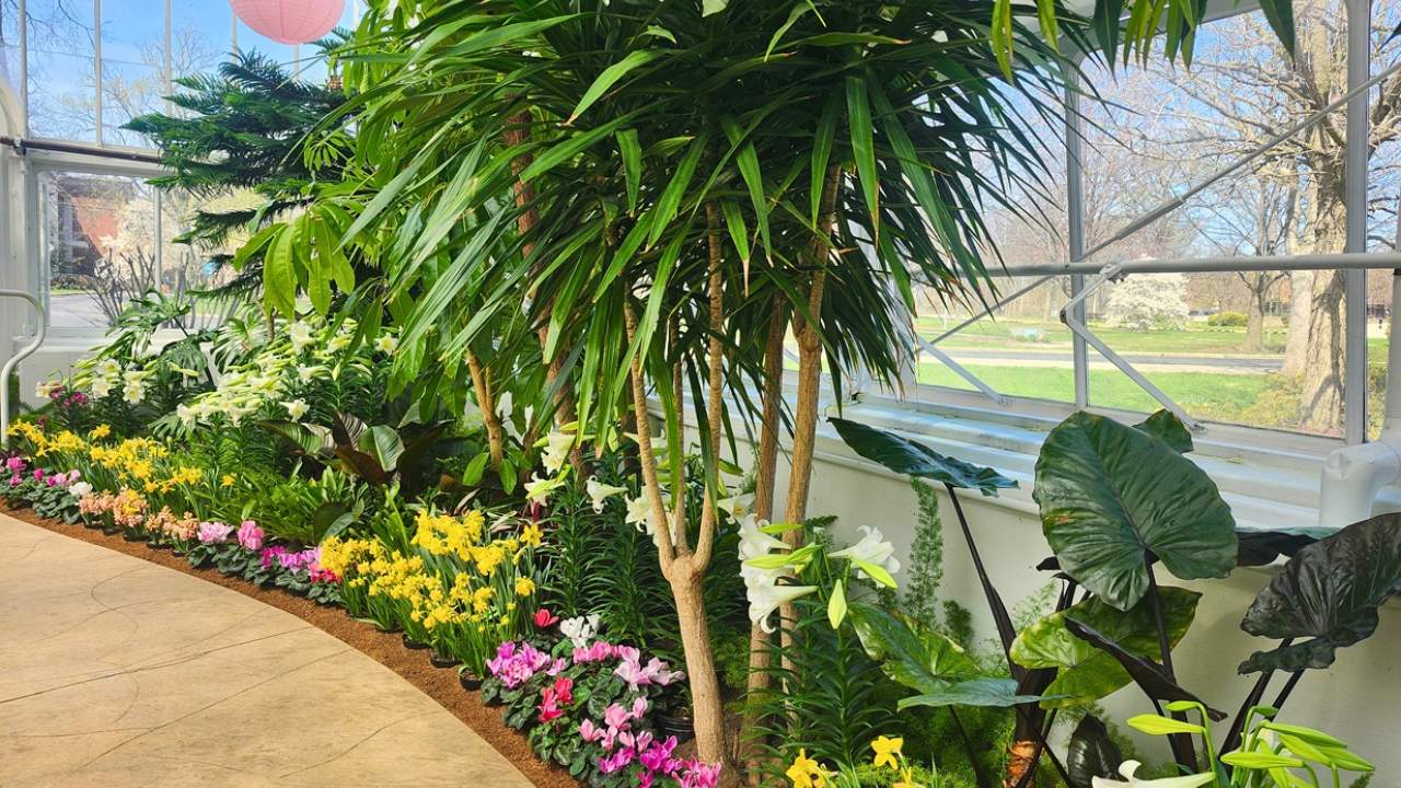 Spring Family Mini Photos at Wilder Conservatory