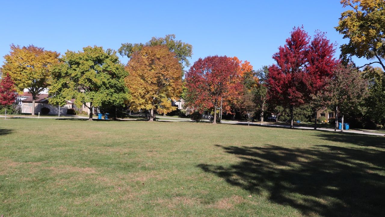 Crescent Park fall