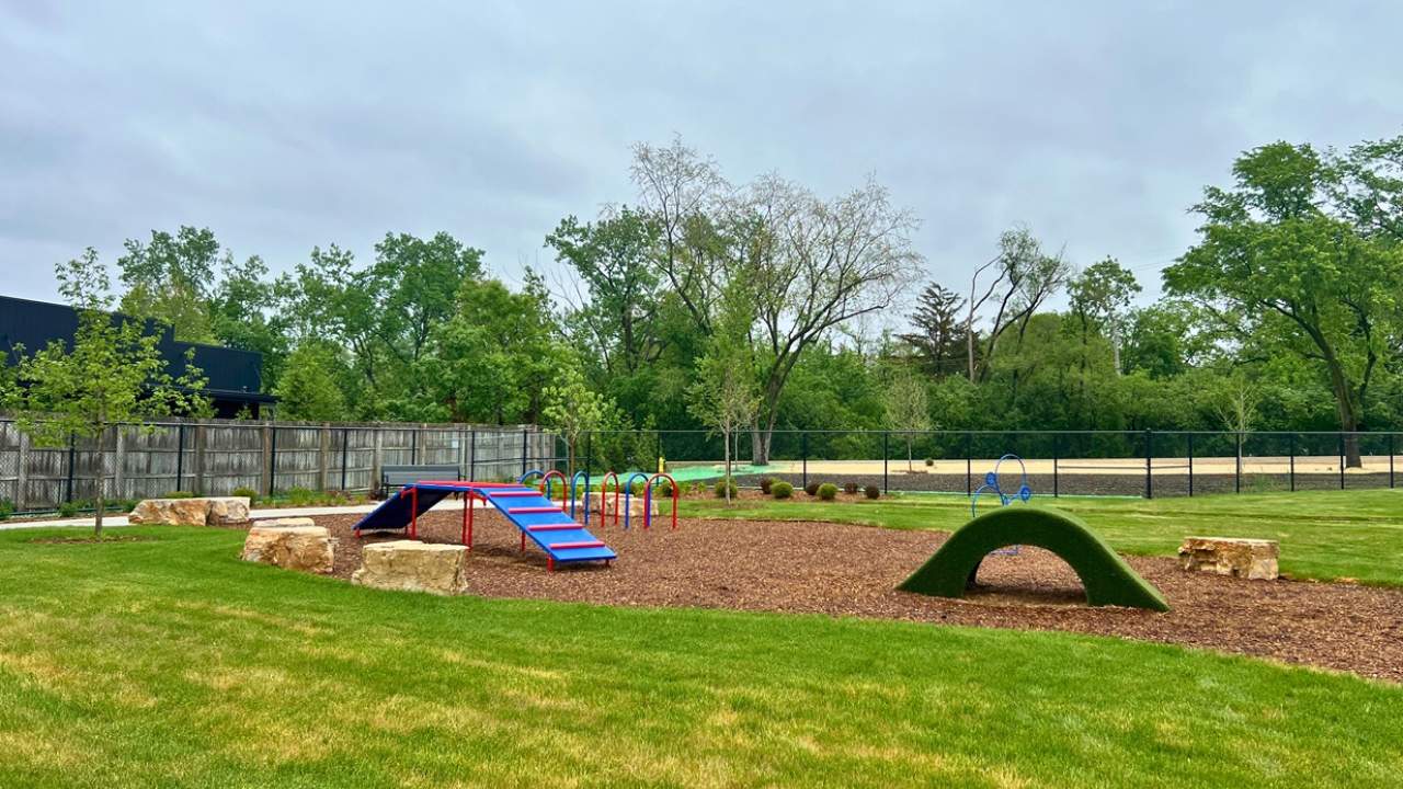 Dog Park features