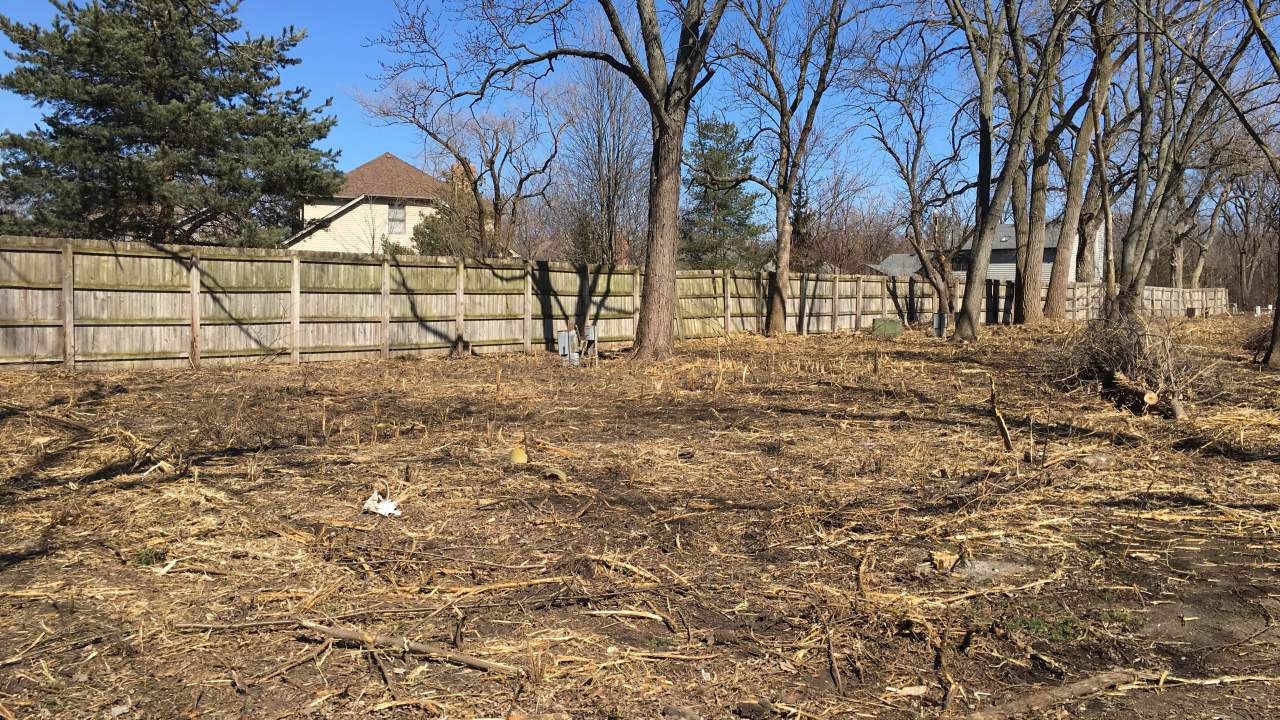 future dog park site, Elmhurst, IL