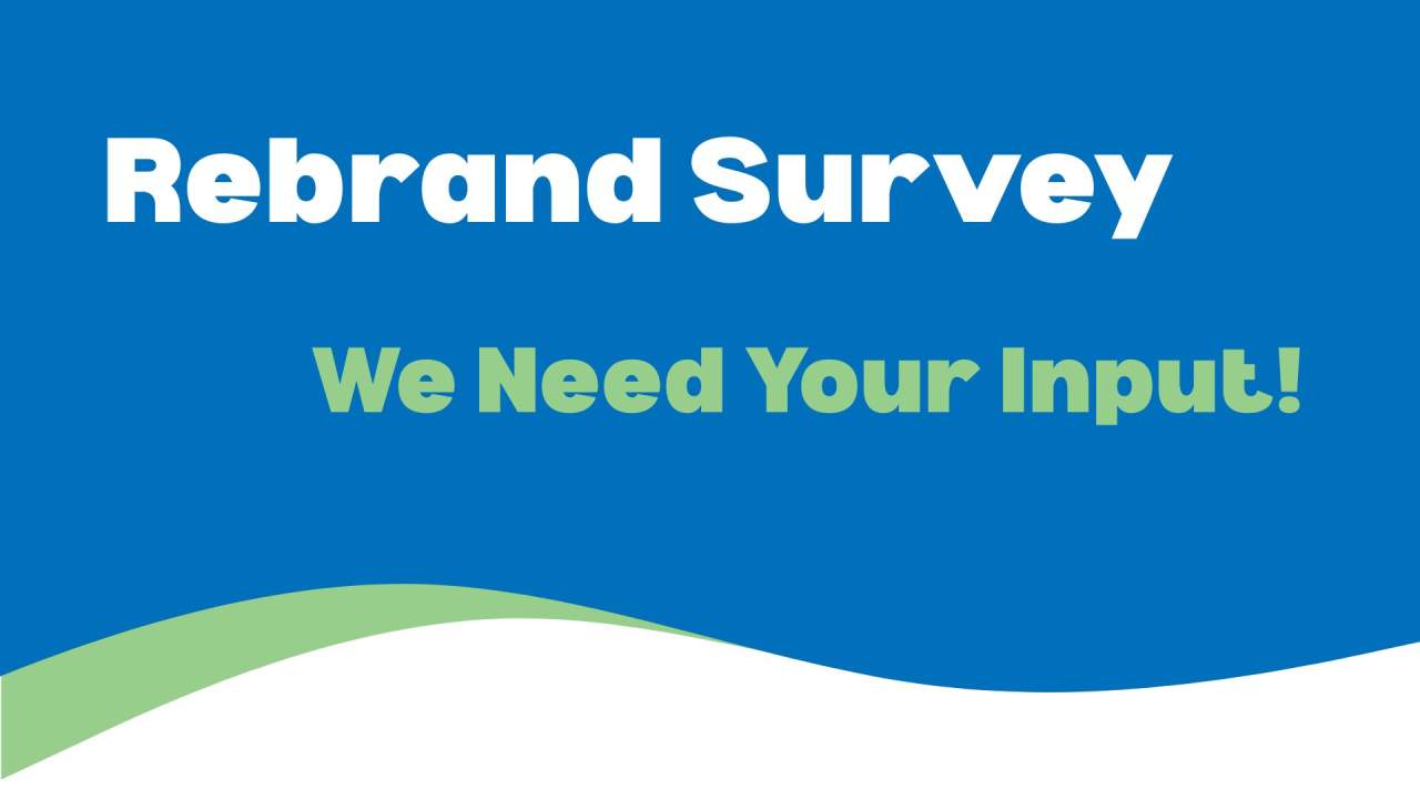 Brand Survey