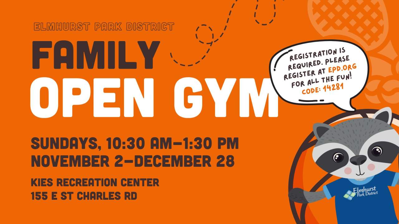 Family Open Gym