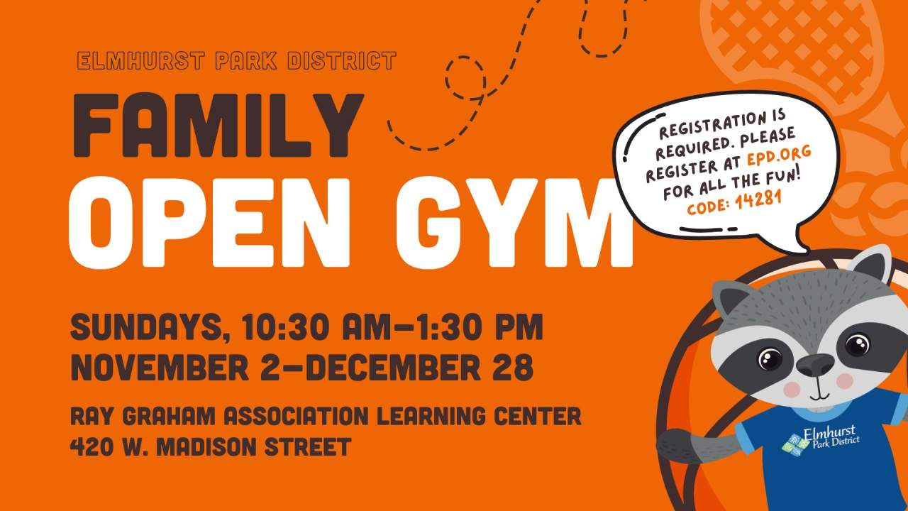 Family Open Gym