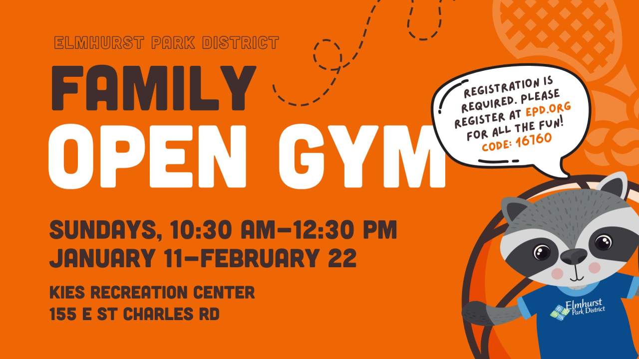 Family Open Gym