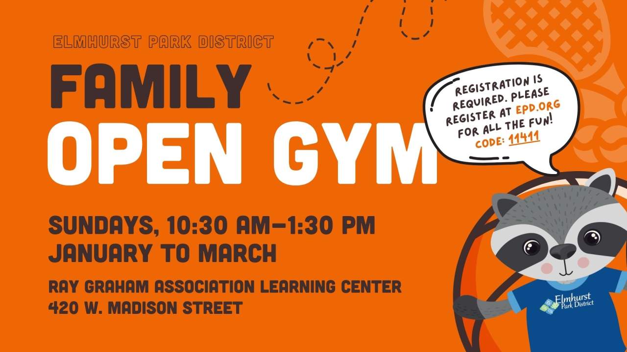 Family Open Gym