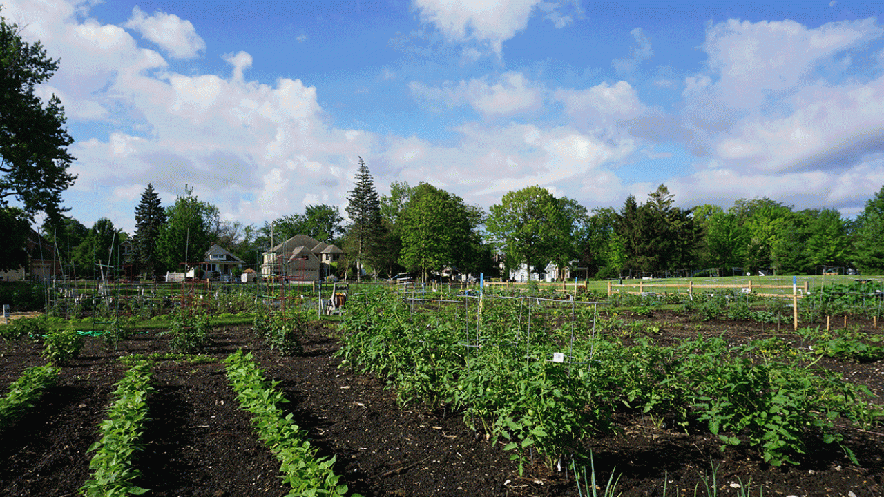 Garden Plots Elmhurst Park District