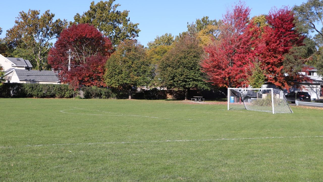 Golden Meadows Park soccer field