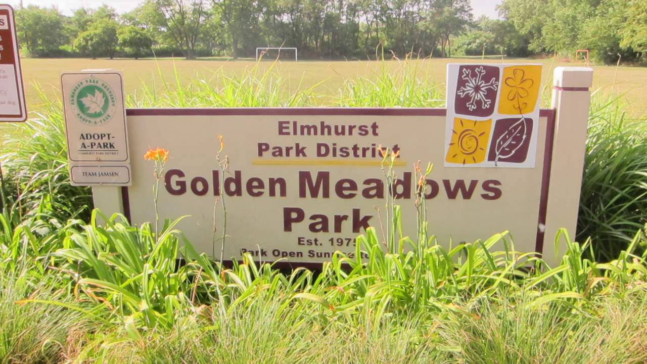 Golden meadows