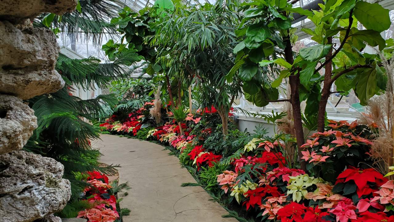 Holiday Flower Show