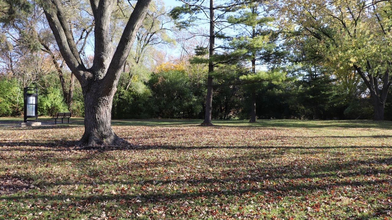 Pick Park Elmhurst, IL