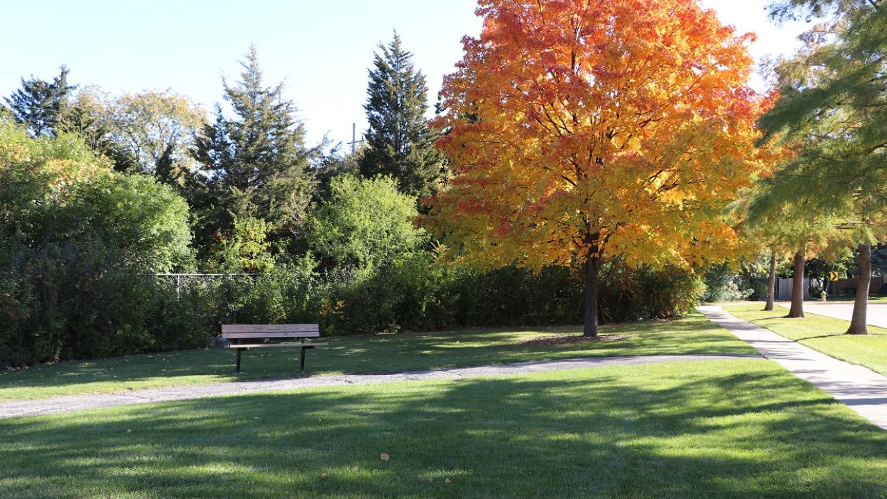 Kiwanis Park, Elmhurst, IL park bench