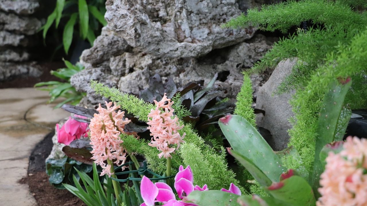 Wilder Park Conservatory