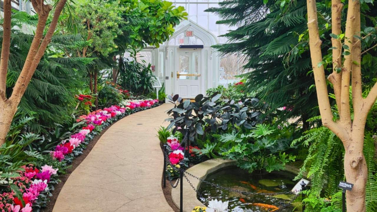 Wilder Park Conservatory