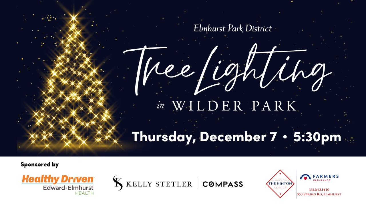 Tree Lighting