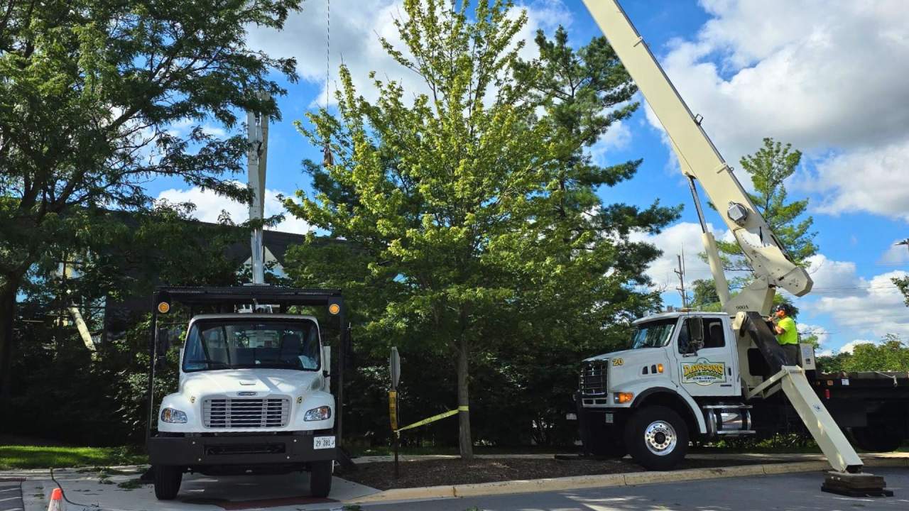 Landscape renovations in progress at Courts Plus