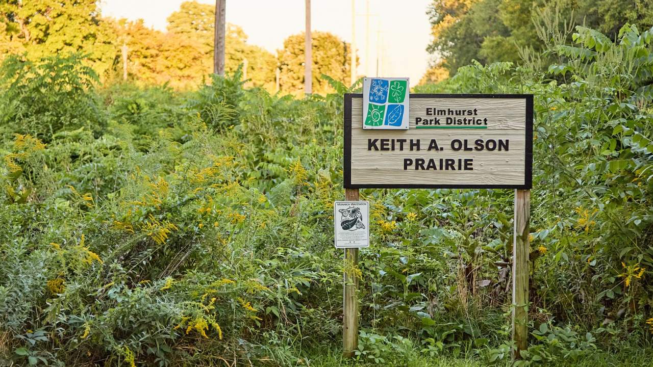 Keith A. Olson Prairie