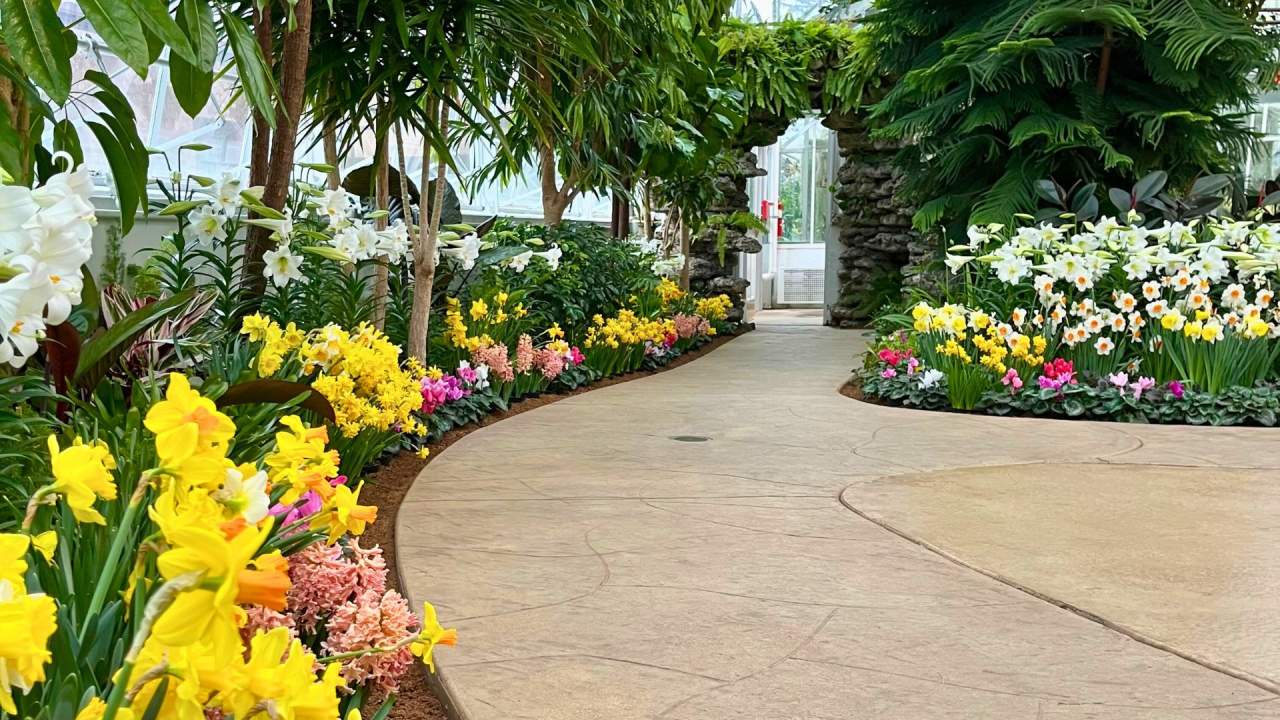 Spring Flower Show at Wilder Park Conservatory