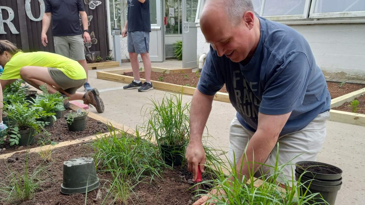 volunteers planting a garden