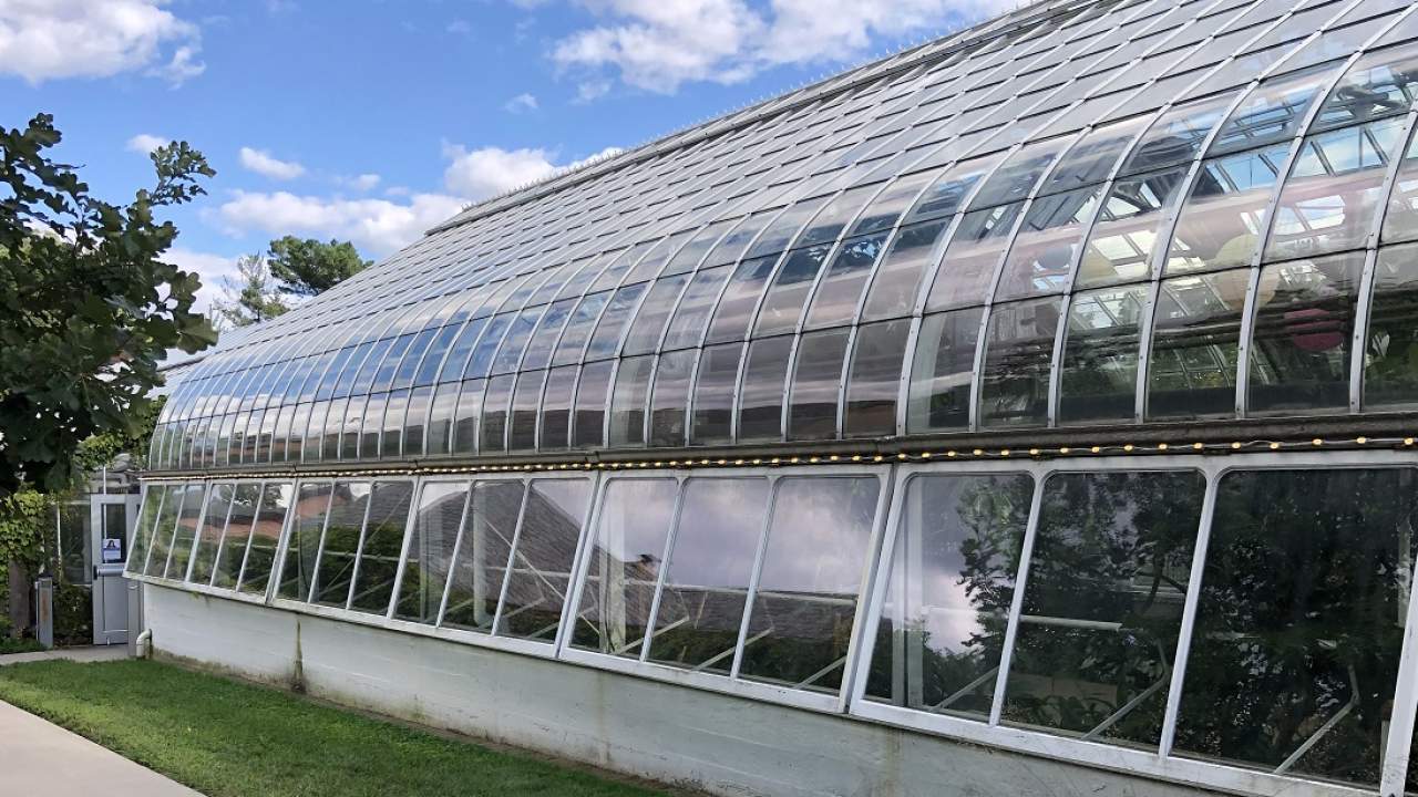 Greenhouse Elmhurst, IL