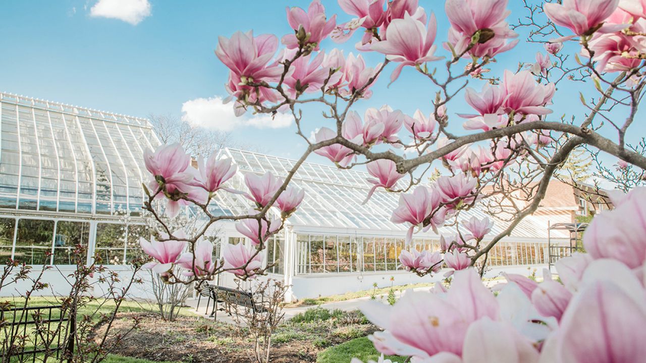 Wilder Park Formal Wedding Garden