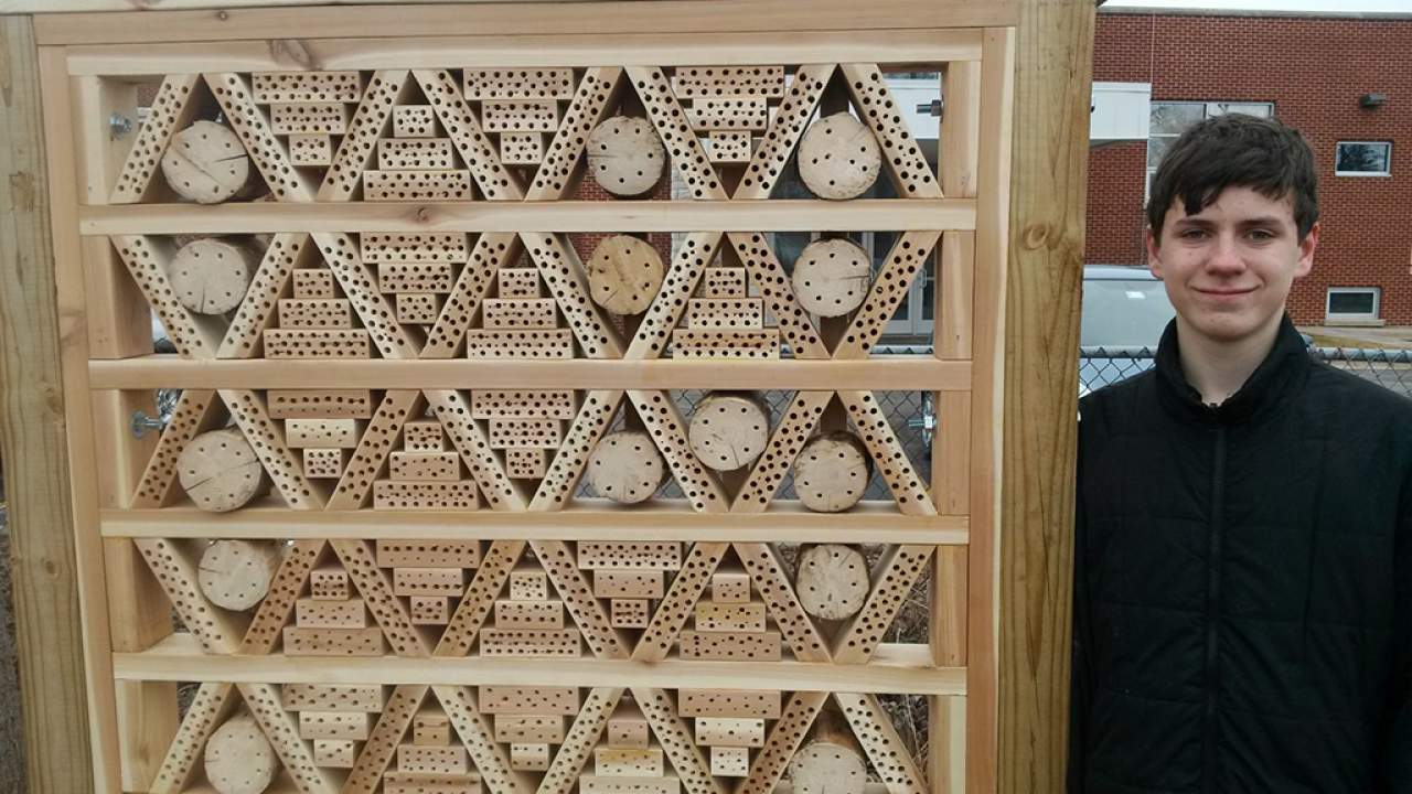 bee house