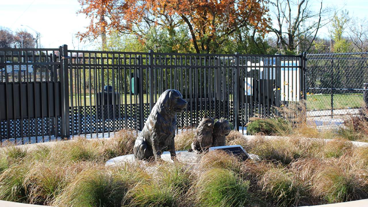Canine corner statue