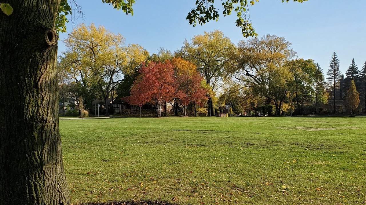 Centennial Park, Elmhurst