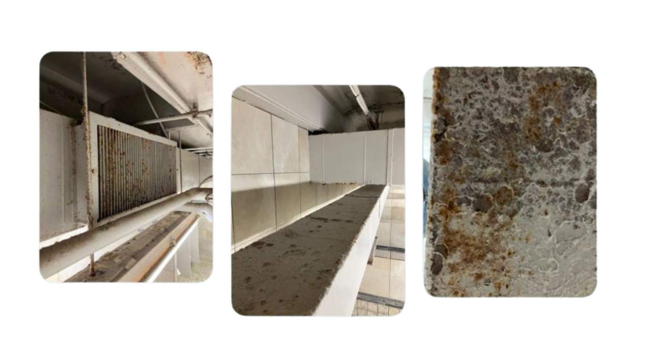 Locker Room HVAC Ducks