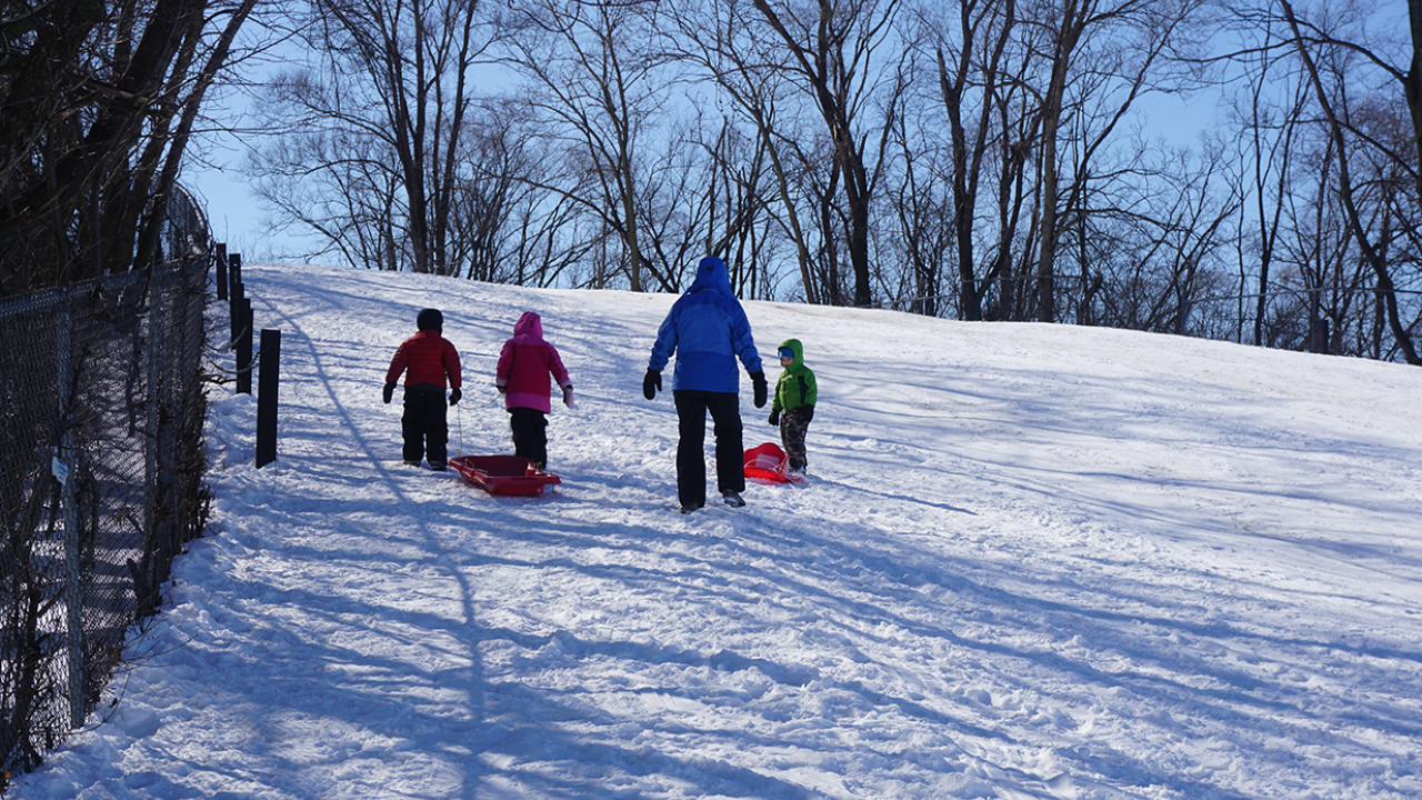 sled hill