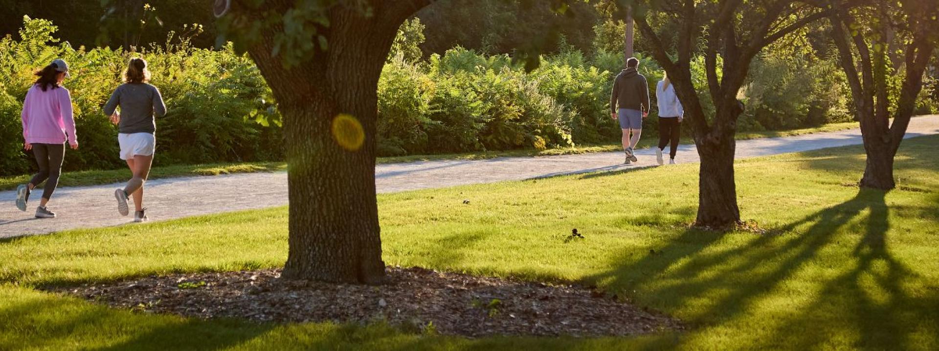 Prairie path