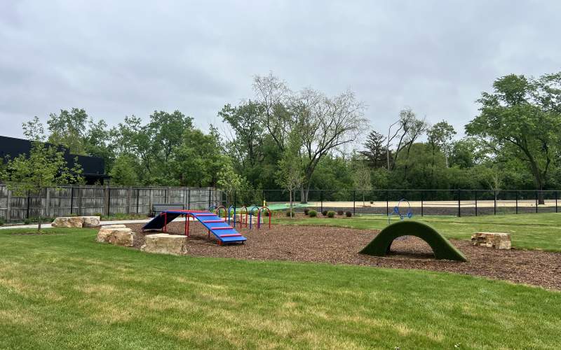 Dog Park
